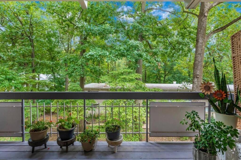 Entire One Bedroom Apartment อันแนนเดล ภายนอก รูปภาพ
